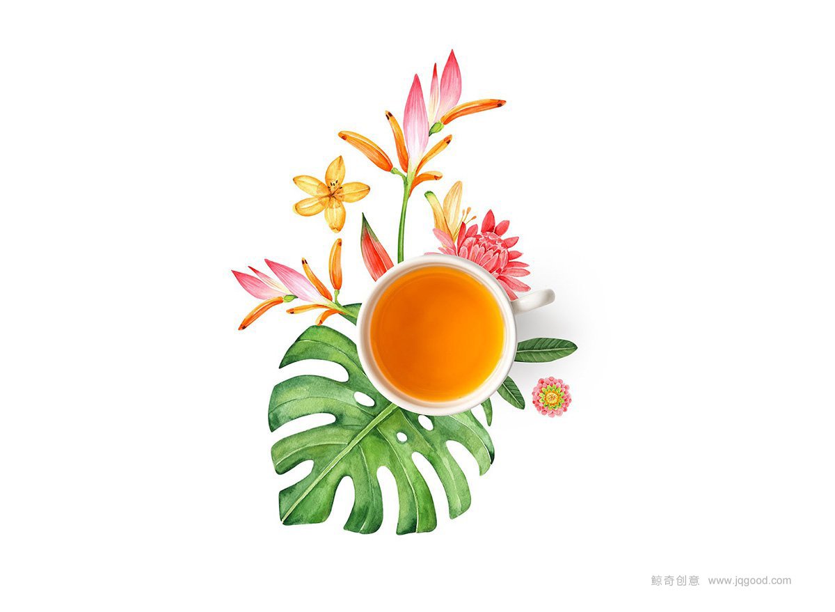 包裝盒設(shè)計圖片